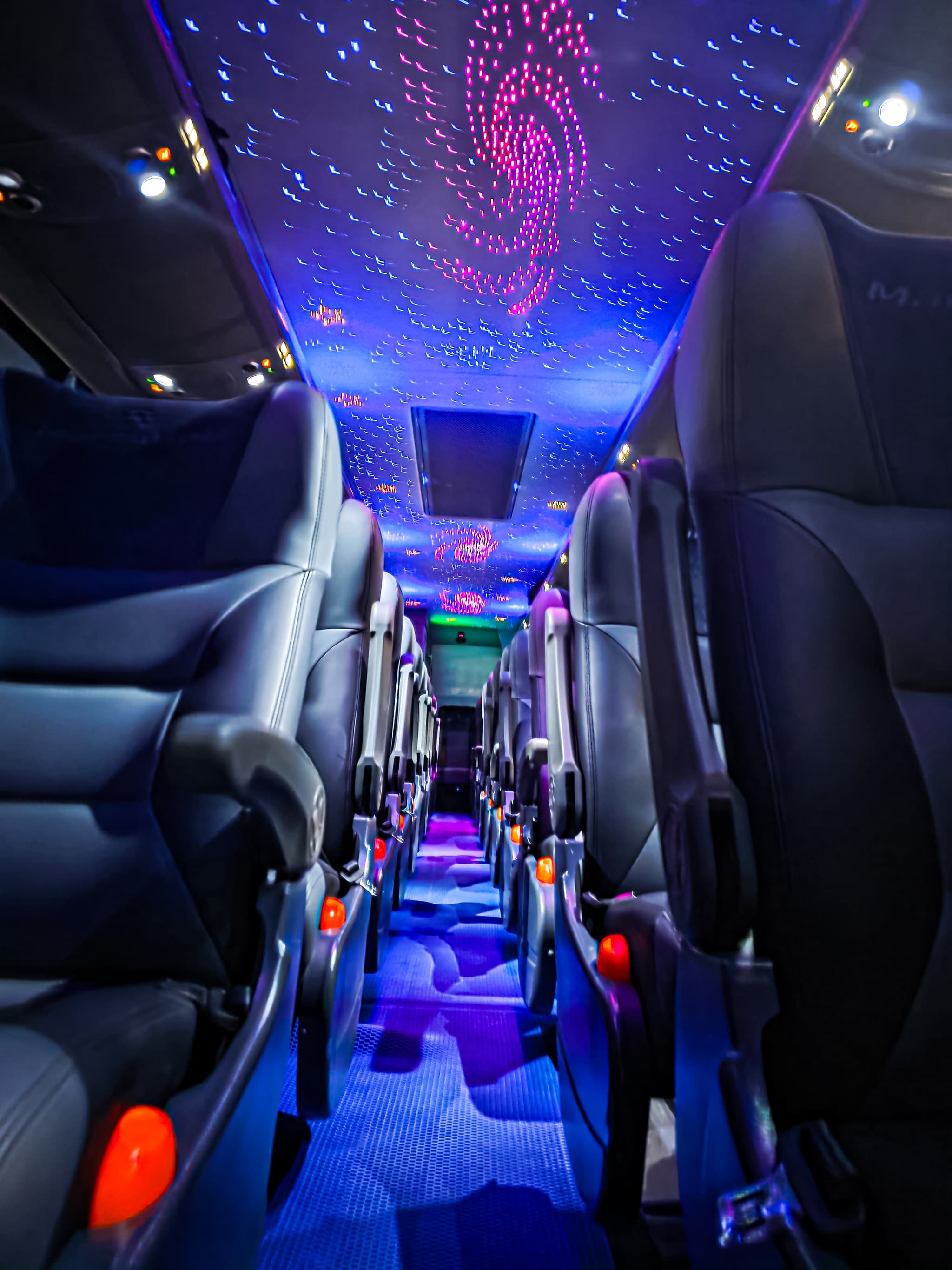 Erfra Express VIP Interior